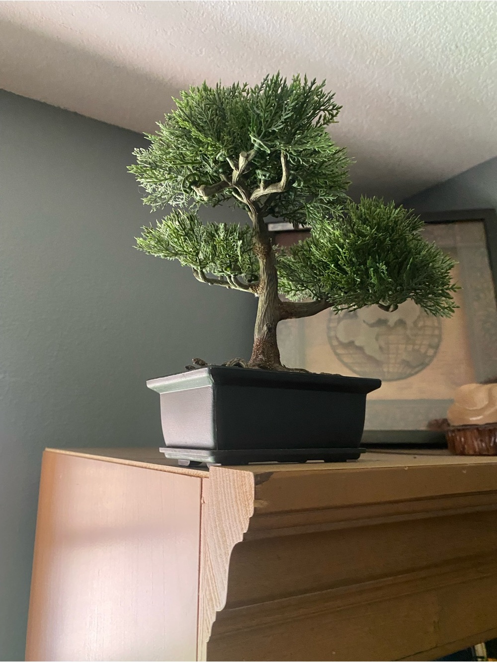 Realistic Artificial Faux Juniper Bonsai Tree Accent